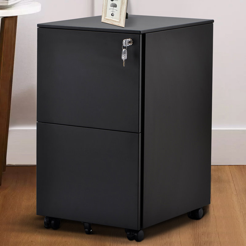 Latitude Run 2Drawer Metal Mobile File With Lock, Side Pull